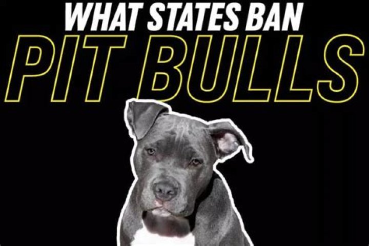 Are pit bulls banned in Pennsylvania?