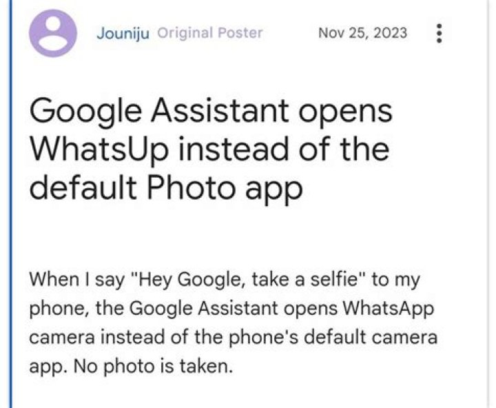 Can Google Assistant take a selfie?