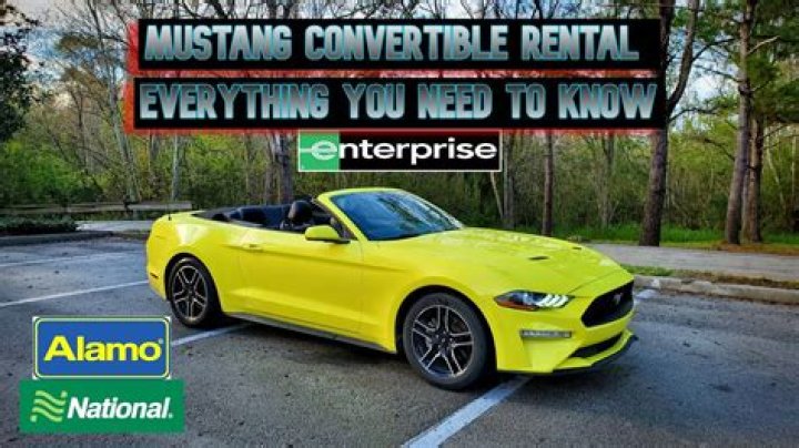 Can you smoke in Alamo rental cars?