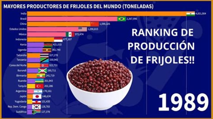 ¿Cómo se le llama a los frijoles en otros países?