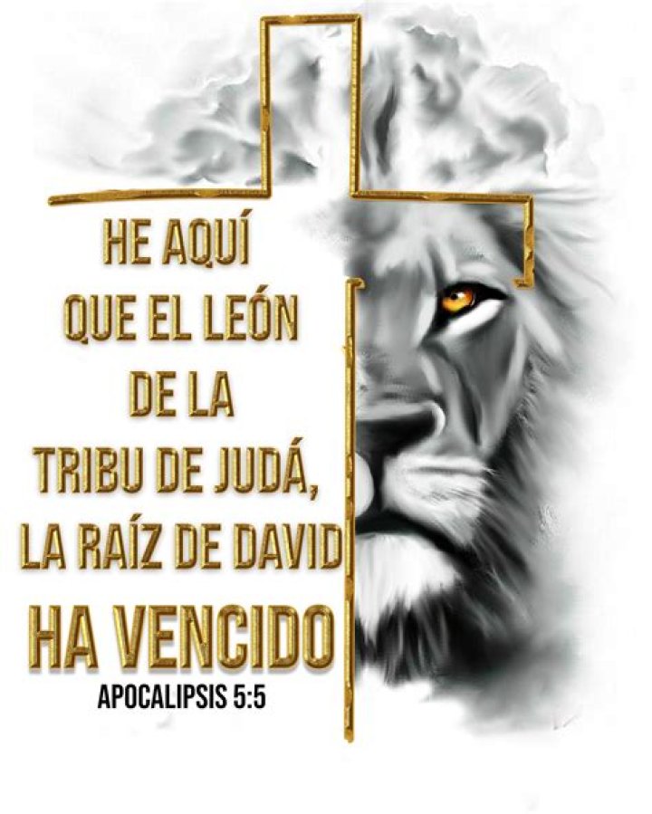 ¿Cuál es el significado del león de la tribu de Judá?