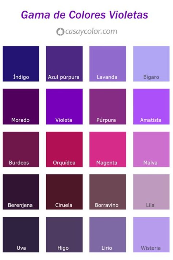 ¿Cuál es la diferencia entre el color morado y violeta?