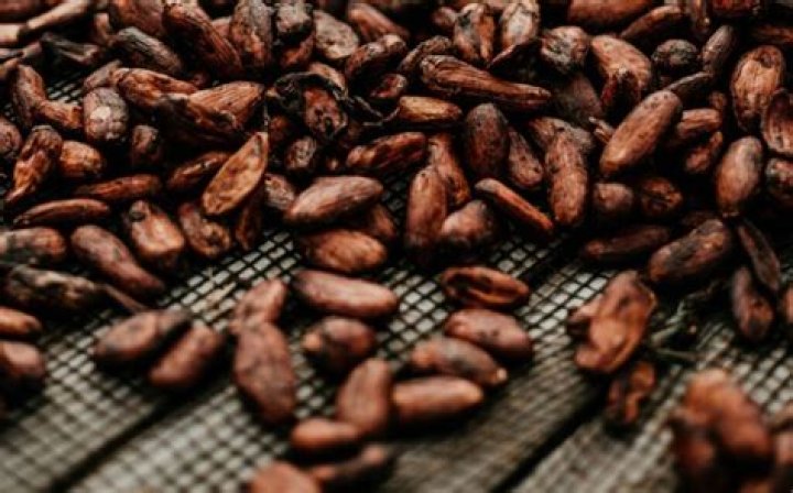 Do cacao nibs melt when baked?