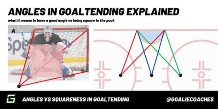 Does the whole puck have to cross the line?