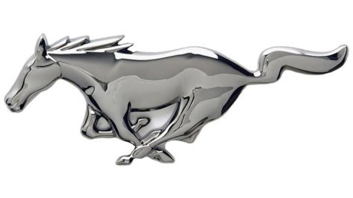 How do you read a Mustang brand?