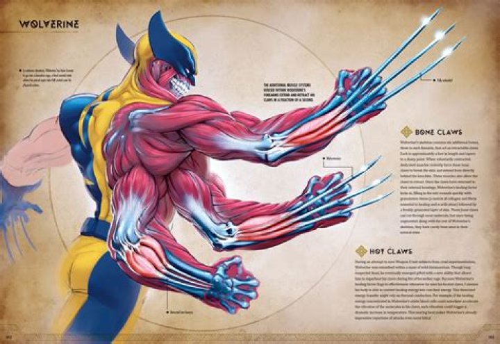 How heavy is Wolverine's skeleton?