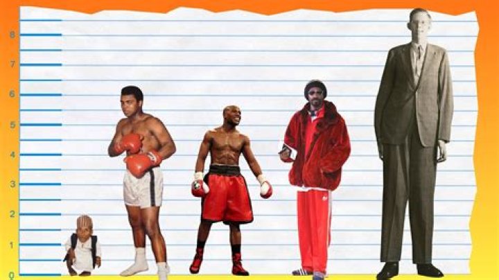 How tall is Ali A?