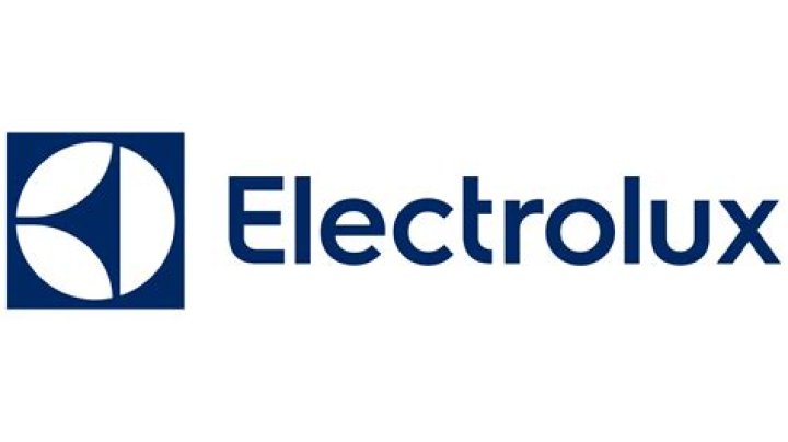 Is Electrolux still in business?