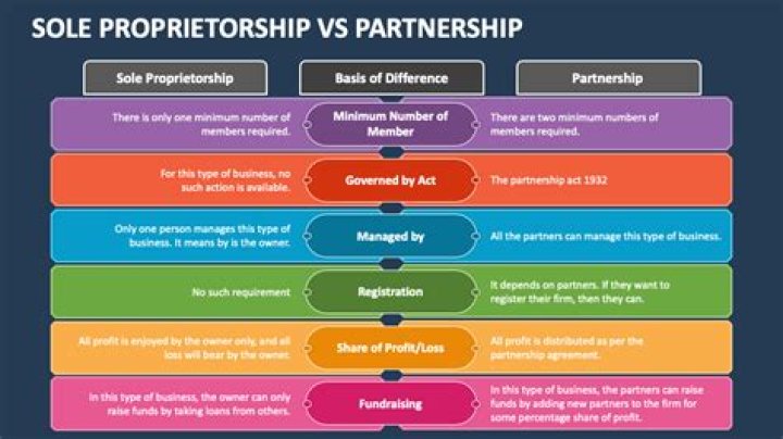 Is Mcdonald's sole proprietorship?
