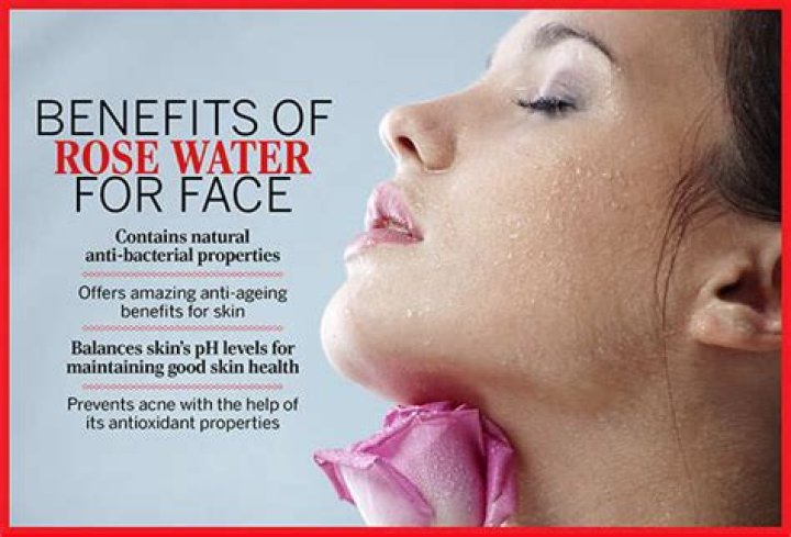Is Rose water good for lips?