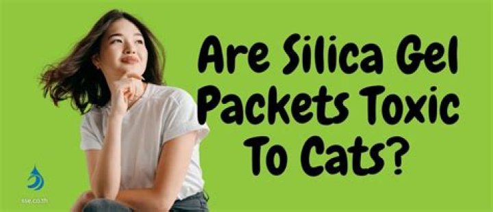 Is silica gel toxic for cats?