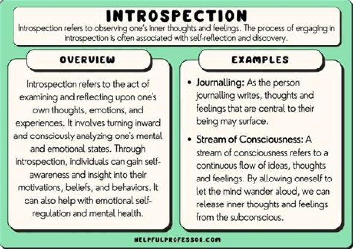 What's the opposite of introspective?