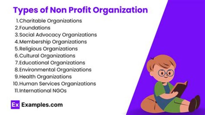 What are the biggest nonprofit organizations?