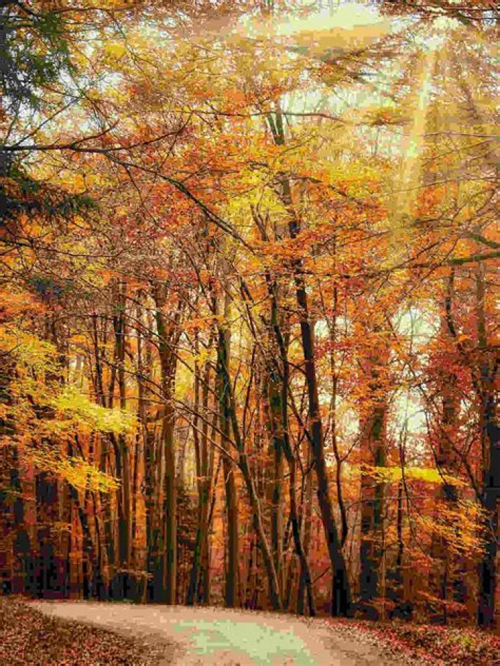 What does autumn symbolize in The Great Gatsby?