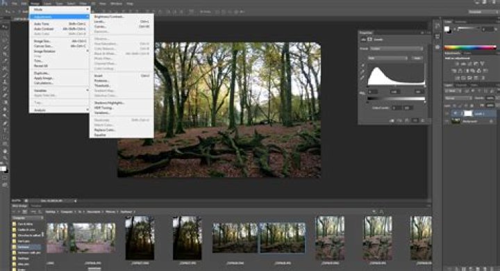What does Photoshop cs6 Extended mean?