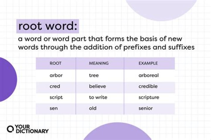 What does the root word Anthropo mean?