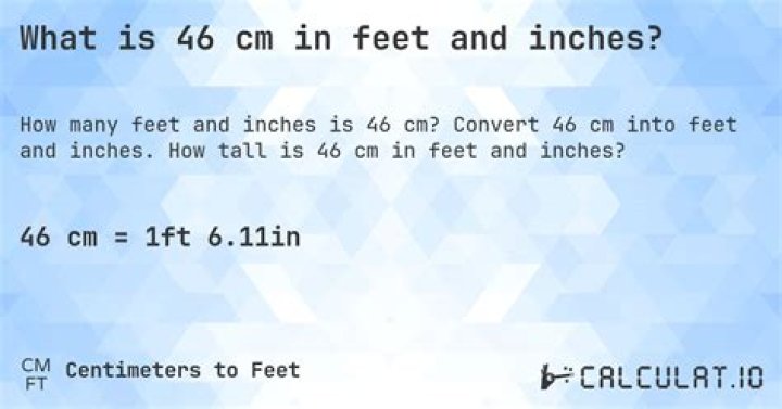 What is 46 cm in inches and feet?
