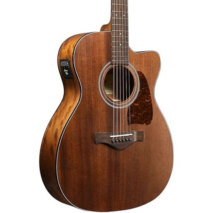 What is the best Ibanez acoustic guitar?