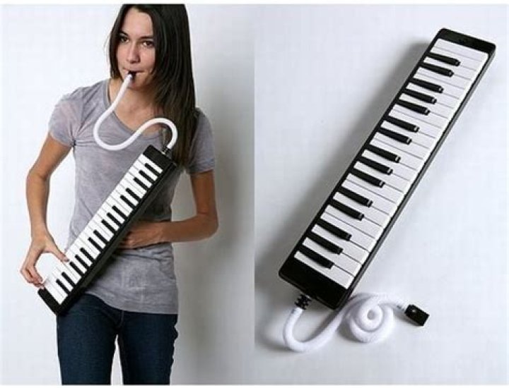 What is the piano that you blow into called?