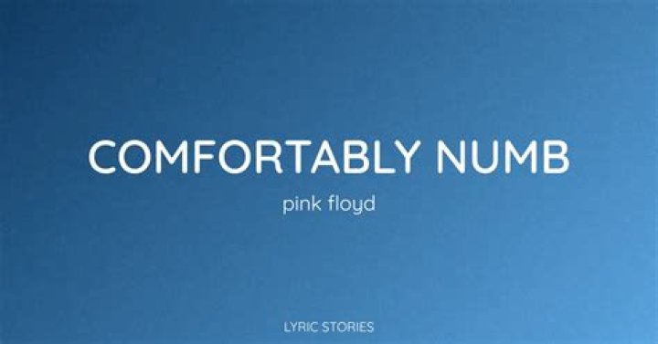 What key is comfortably numb in?