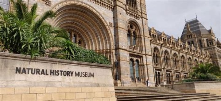 What tube station is near the Natural History Museum?