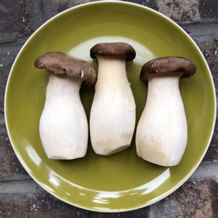 Where can I buy King oyster mushrooms?