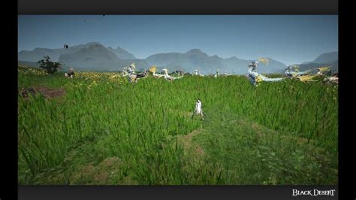 Where can I get a tanning knife in BDO?