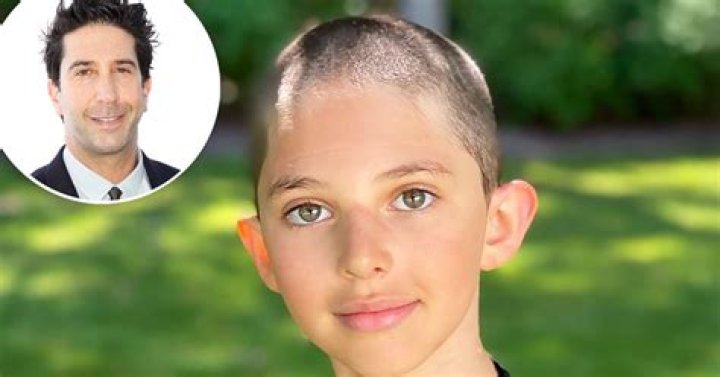 Who is David Schwimmer's kid?