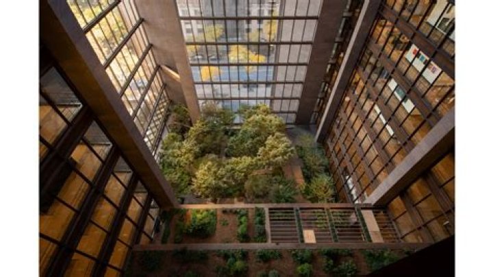 Who is head of the Ford Foundation?